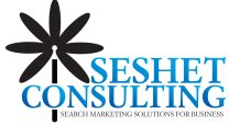The Blog at Seshet Consulting